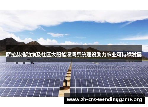 萨拉赫推动埃及社区太阳能灌溉系统建设助力农业可持续发展 萨拉赫推动埃及社区太阳能灌溉系统建设助力农业可持续发展
