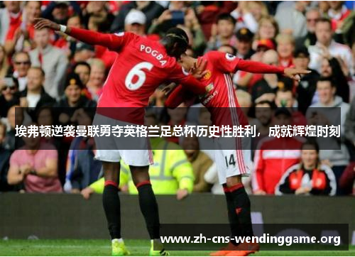 埃弗顿逆袭曼联勇夺英格兰足总杯历史性胜利,成就辉煌时刻 埃弗顿逆袭曼联勇夺英格兰足总杯历史性胜利,成就辉煌时刻