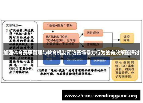 加强体育赛事管理与教育机制预防赛场暴力行为的有效策略探讨 加强体育赛事管理与教育机制预防赛场暴力行为的有效策略探讨