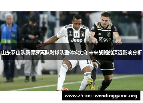 山东泰山队桑德罗离队对球队整体实力和未来战略的深远影响分析 山东泰山队桑德罗离队对球队整体实力和未来战略的深远影响分析