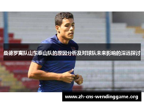 桑德罗离队山东泰山队的原因分析及对球队未来影响的深远探讨 桑德罗离队山东泰山队的原因分析及对球队未来影响的深远探讨