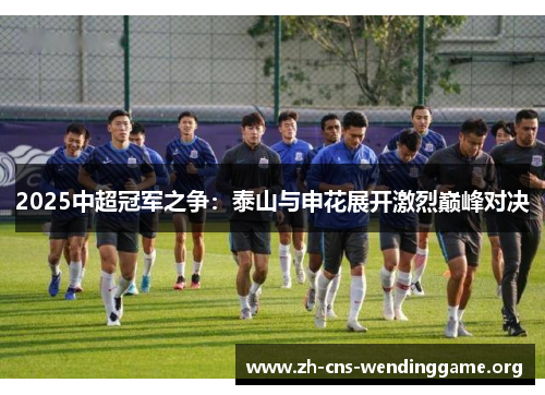 2025中超冠军之争:泰山与申花展开激烈巅峰对决 2025中超冠军之争:泰山与申花展开激烈巅峰对决