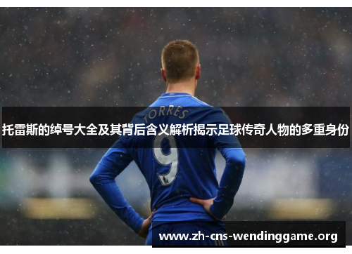 托雷斯的绰号大全及其背后含义解析揭示足球传奇人物的多重身份 托雷斯的绰号大全及其背后含义解析揭示足球传奇人物的多重身份
